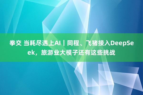 拳交 当耗尽遇上AI｜同程、飞猪接入DeepSeek，旅游业大模子还有这些挑战
