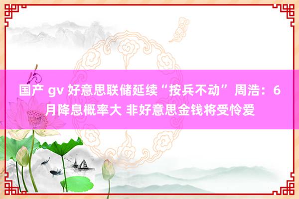 国产 gv 好意思联储延续“按兵不动” 周浩：6月降息概率大 非好意思金钱将受怜爱