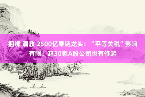 捆绑 调教 2500亿果链龙头：“平等关税”影响有限！超30家A股公司也有修起