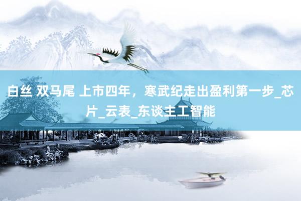 白丝 双马尾 上市四年，寒武纪走出盈利第一步_芯片_云表_东谈主工智能