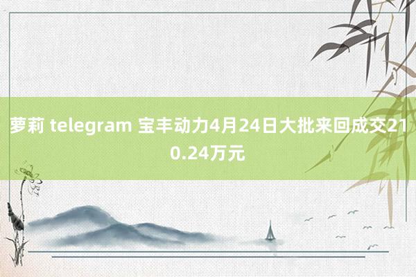 萝莉 telegram 宝丰动力4月24日大批来回成交210.24万元