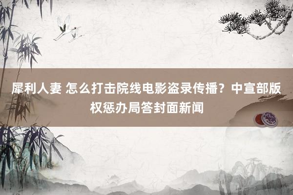 犀利人妻 怎么打击院线电影盗录传播？中宣部版权惩办局答封面新闻