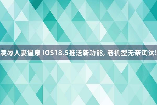 凌辱人妻温泉 iOS18.5推送新功能, 老机型无奈淘汰!