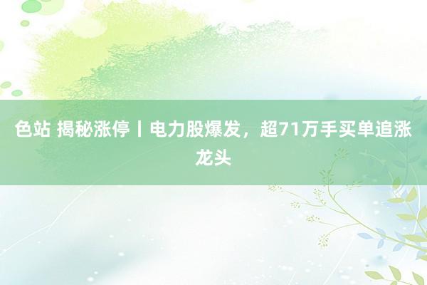 色站 揭秘涨停丨电力股爆发，超71万手买单追涨龙头