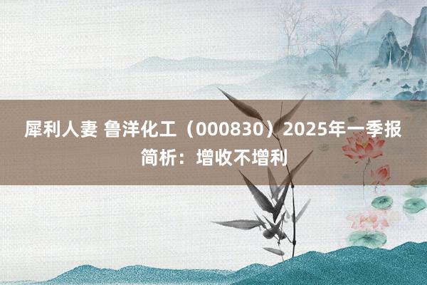 犀利人妻 鲁洋化工（000830）2025年一季报简析：增收不增利