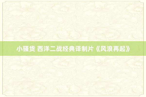小骚货 西洋二战经典译制片《风浪再起》